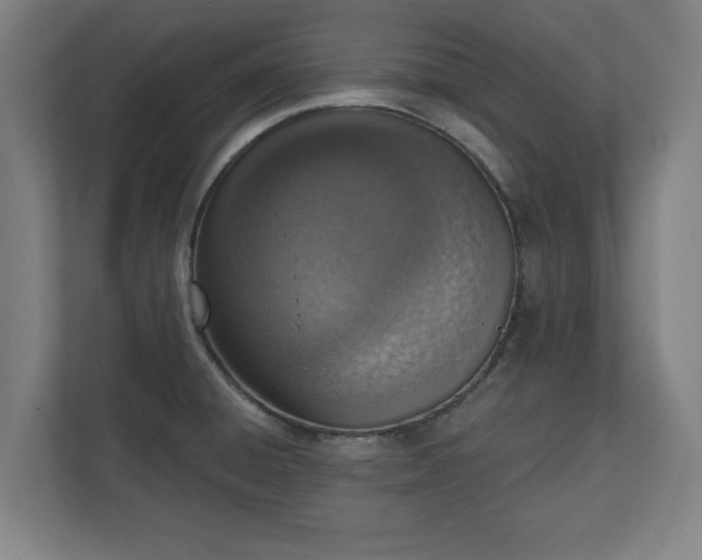 X0000110861428200906251159