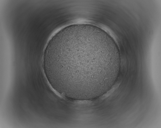 X0000110861429200906251159