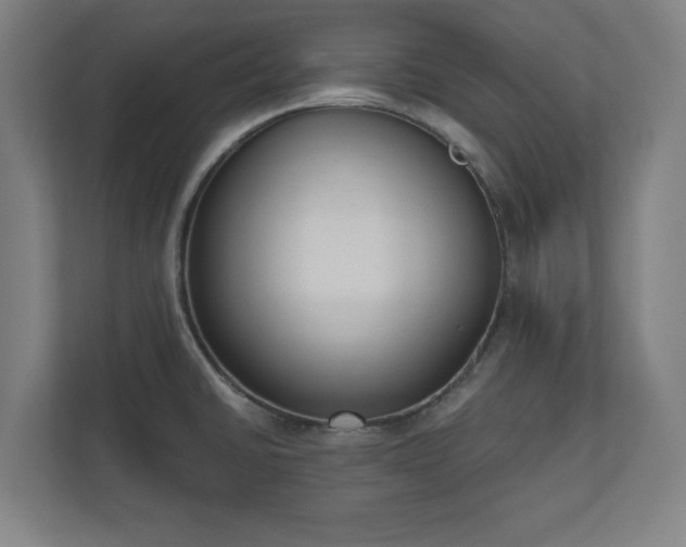 X0000110861430200906251159