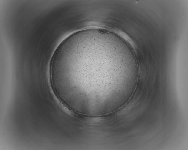 X0000110861431200906251159