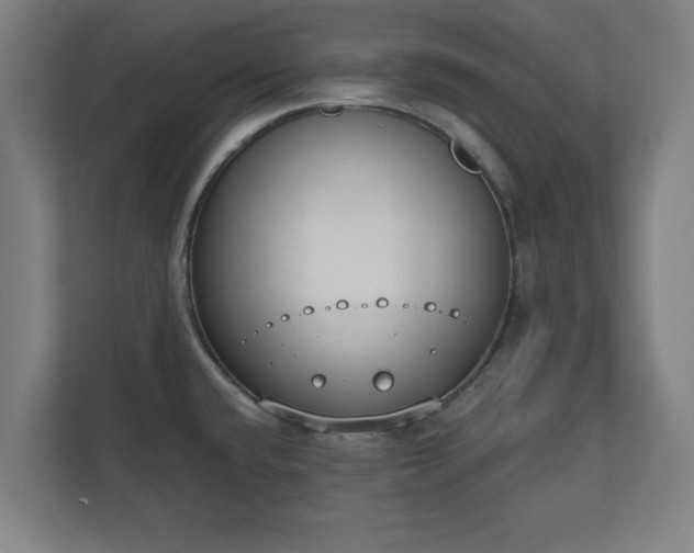 X0000110861432200906251159