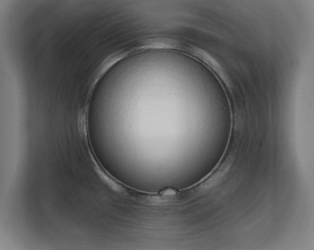 X0000110861433200906251159