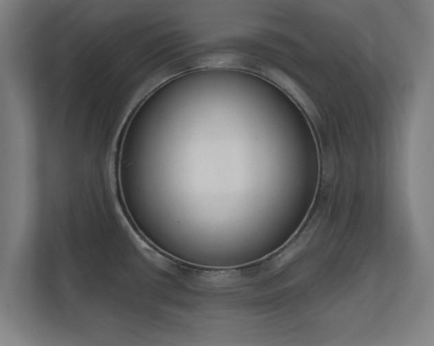 X0000110861434200906251159