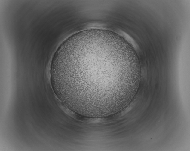 X0000110861435200906251159