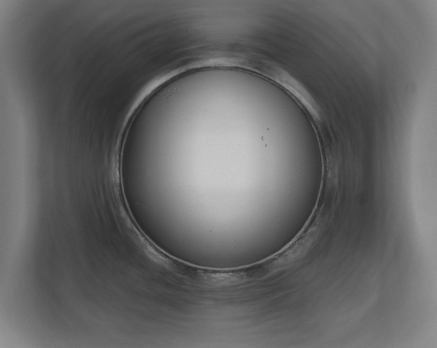 X0000110861436200906251159