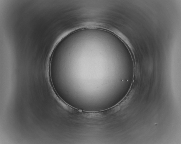 X0000110861437200906251159