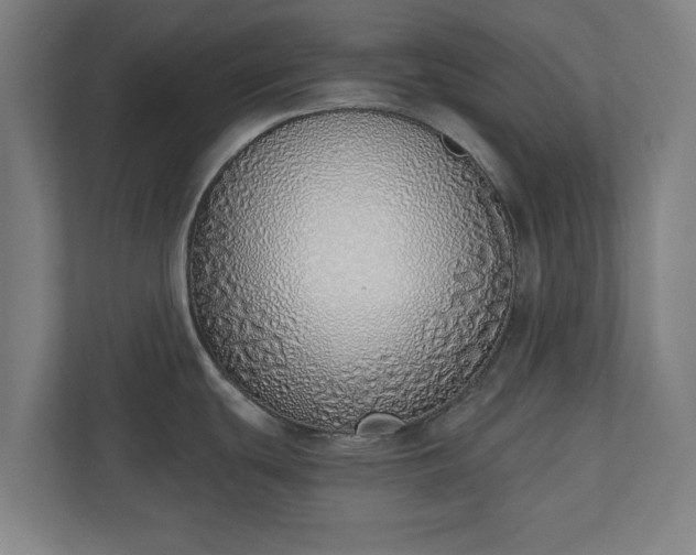 X0000110861439200906251159