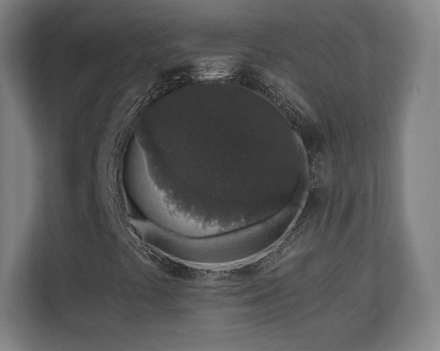 X0000110861441200906251159