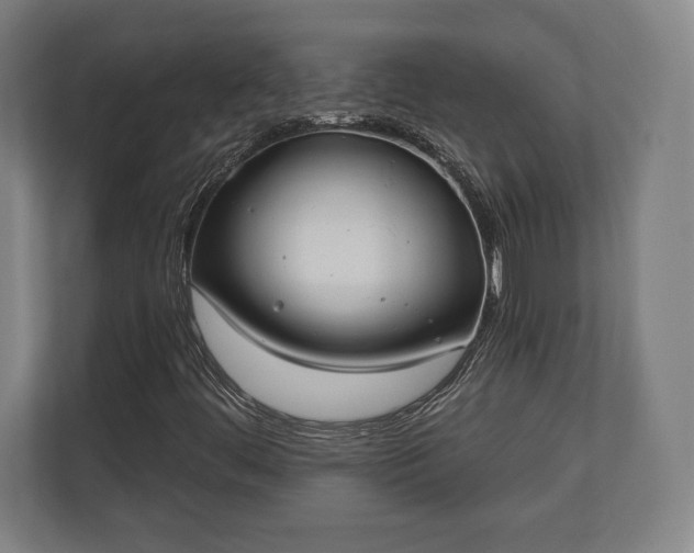 X0000110861444200906251159