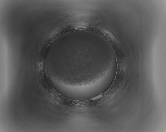 X0000110861445200906251159