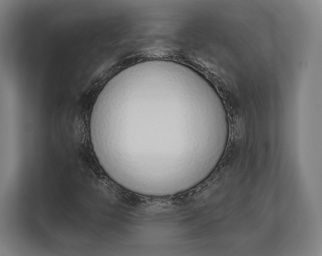 X0000110861446200906251159