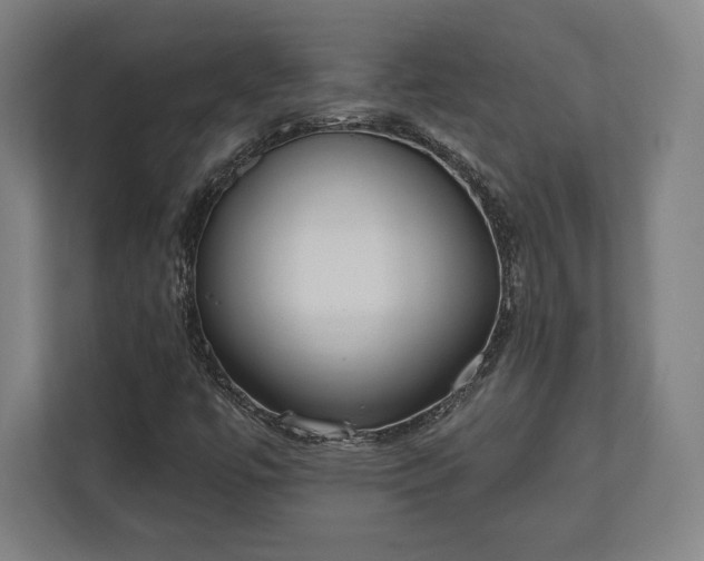 X0000110861447200906251159