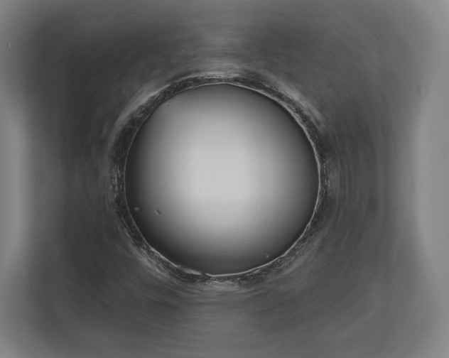 X0000110861448200906251159