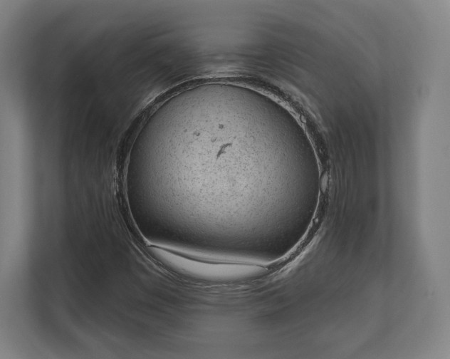 X0000110861449200906251159