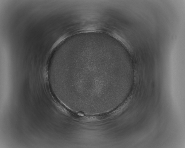 X0000110861450200906251159