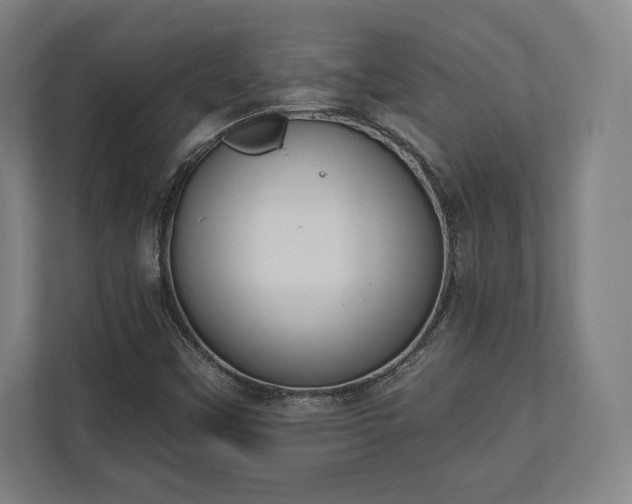 X0000110861451200906251159