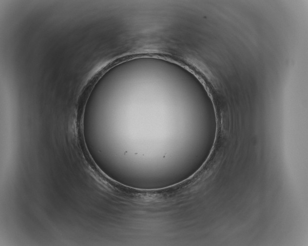 X0000110861452200906251159