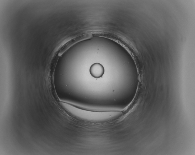 X0000110861453200906251159