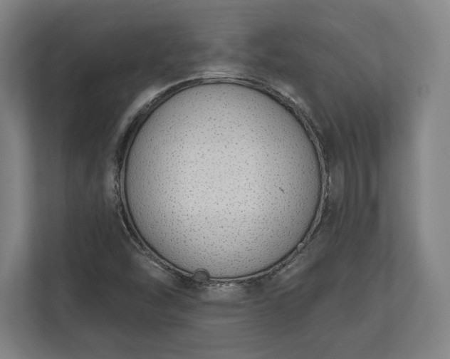 X0000110861454200906251159