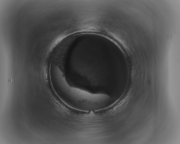 X0000110861455200906251159