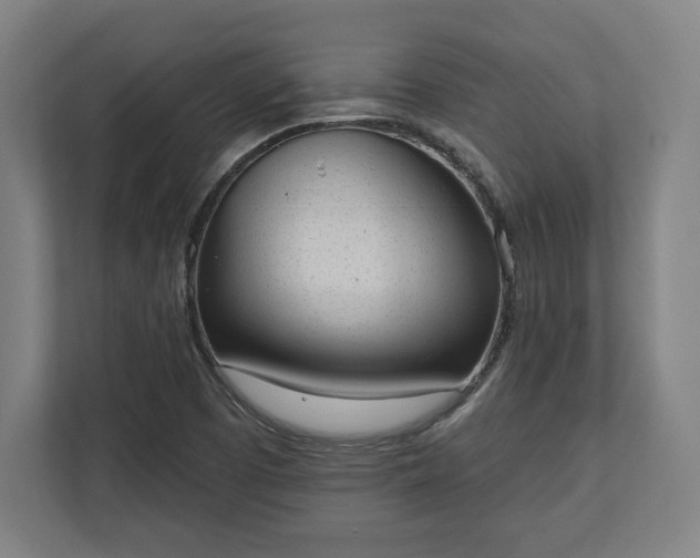 X0000110861457200906251159