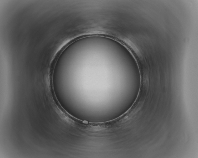 X0000110861460200906251159