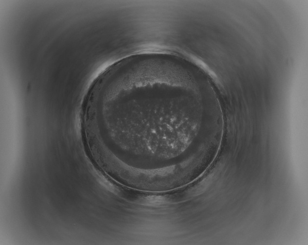 X0000110861463200906251158