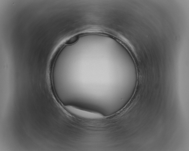 X0000110861464200906251158