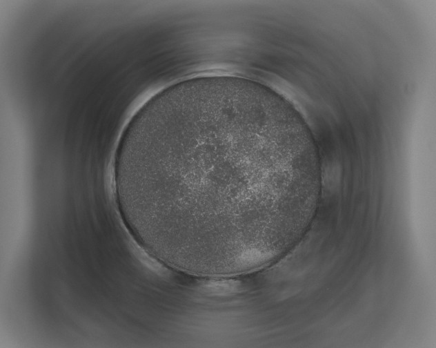 X0000110861466200906251158