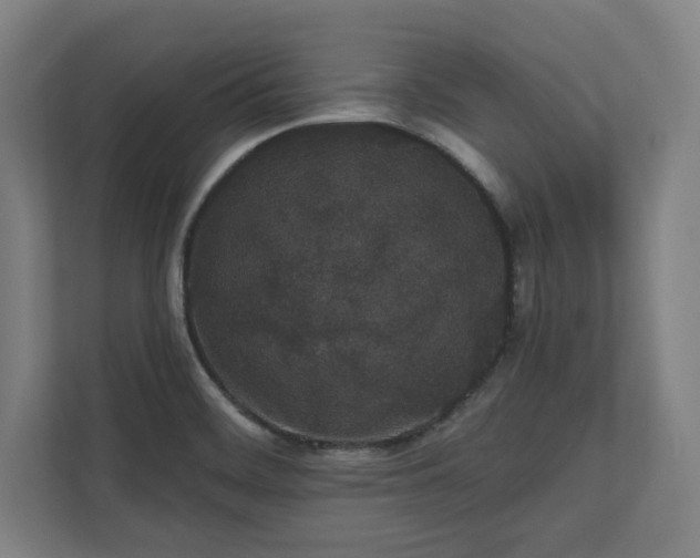 X0000110861468200906251158