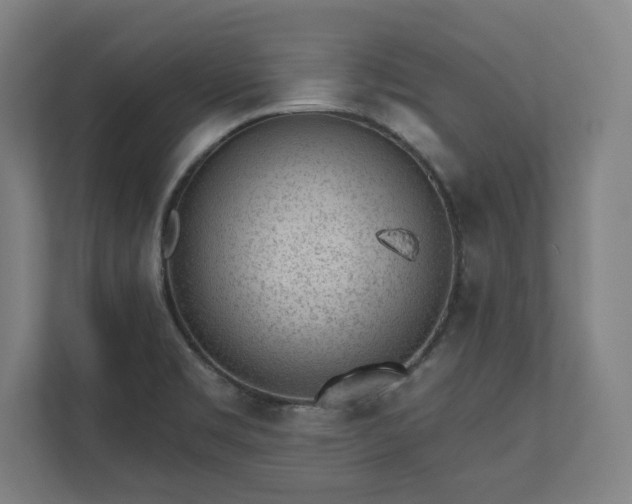 X0000110861469200906251158