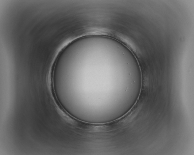 X0000110861471200906251158