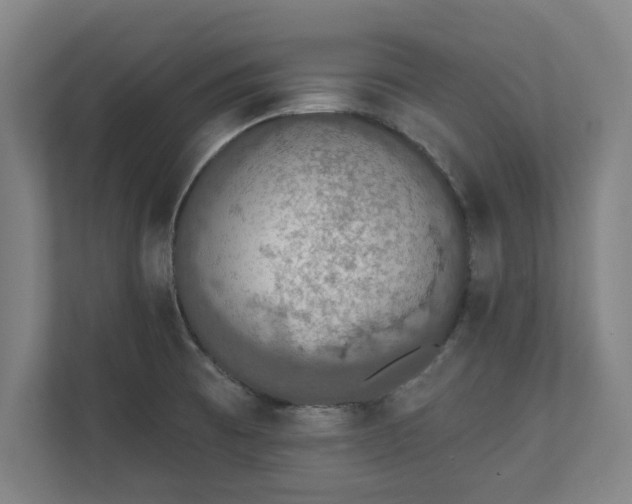 X0000110861473200906251158