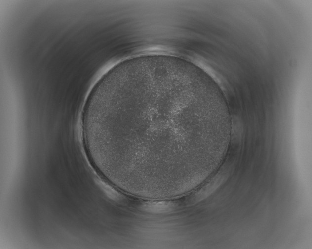 X0000110861474200906251158