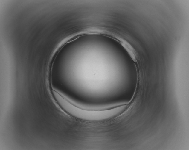 X0000110861477200906251158