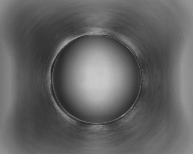 X0000110861479200906251158