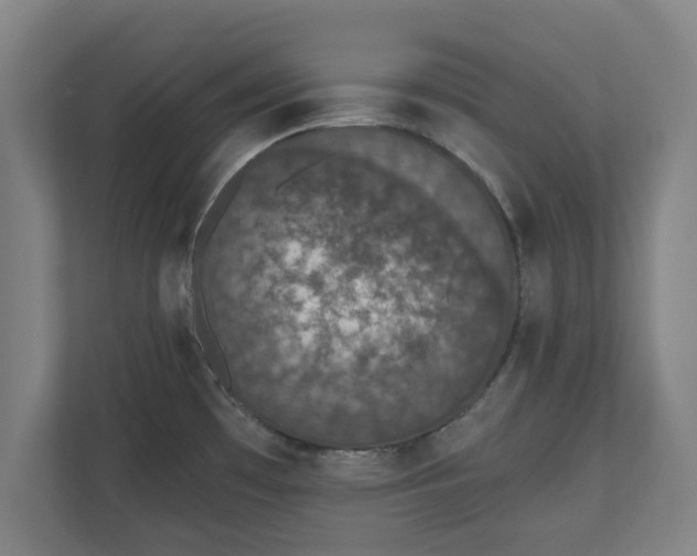 X0000110861481200906251158