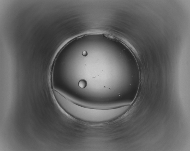 X0000110861484200906251158