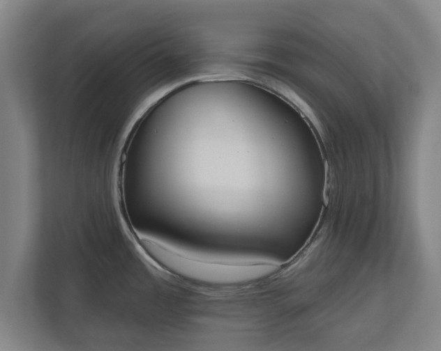 X0000110861485200906251158