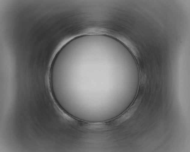 X0000110861486200906251158