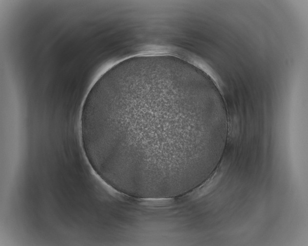 X0000110861487200906251158