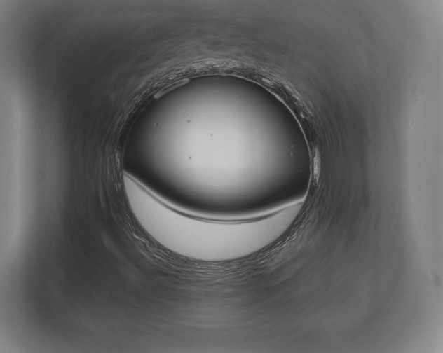 X0000110861492200906251158