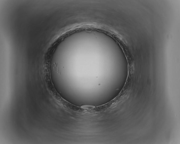 X0000110861496200906251158