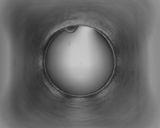 X0000110861499200906251158