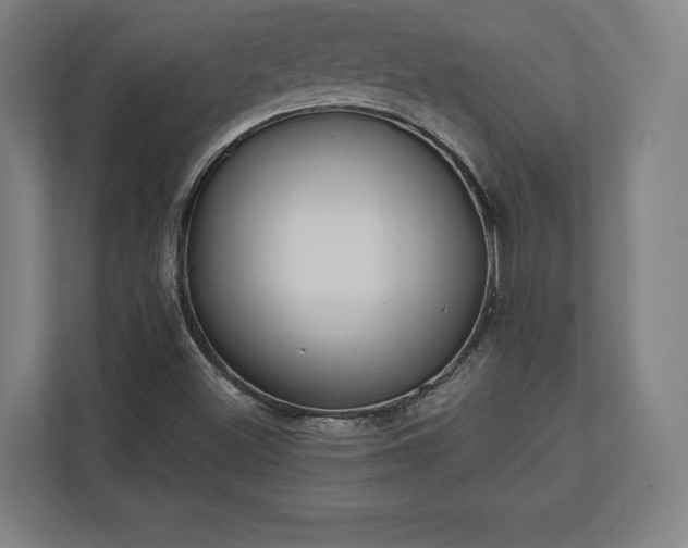 X0000110861500200906251158