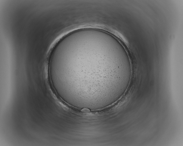 X0000110861504200906251158