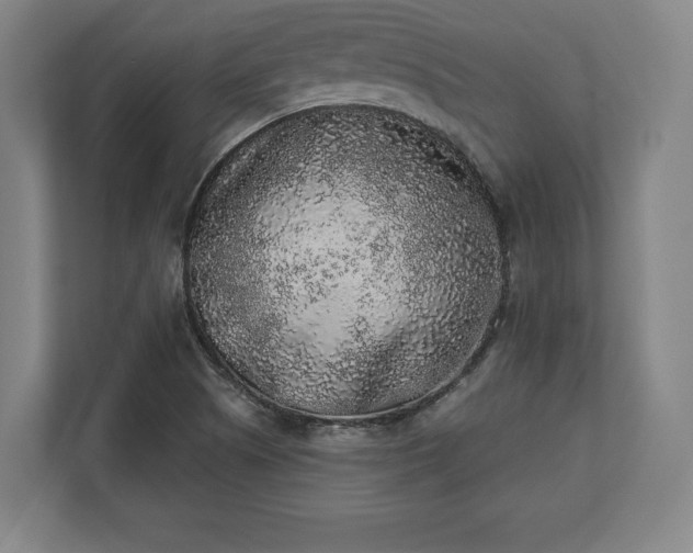 X0000110861505200906251158