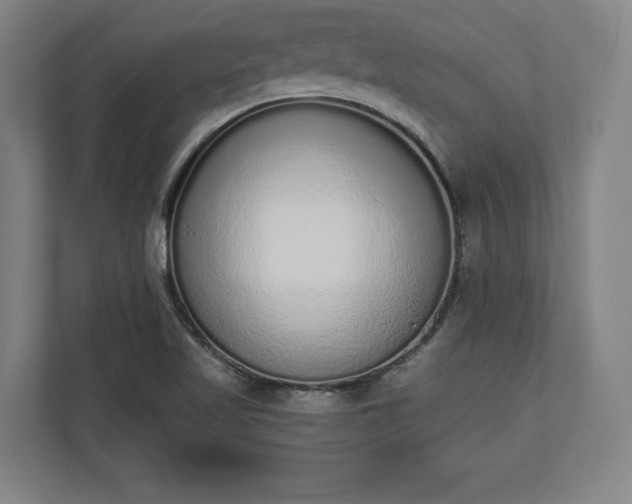 X0000110861509200906251158