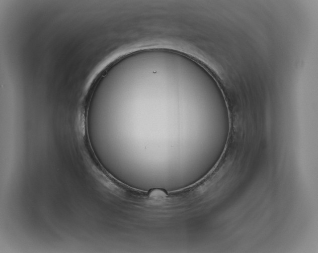 X0000110861510200906251158