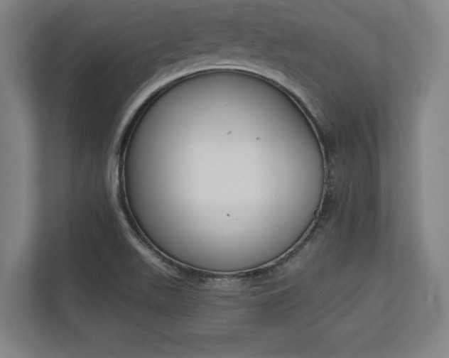 X0000110861511200906251158